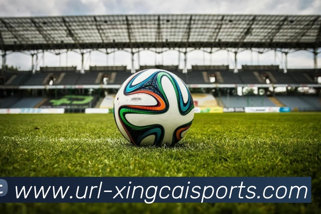 App Interface Preview