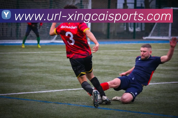 杏彩体育APP 封面图